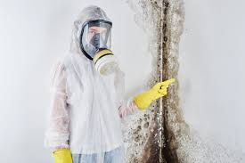 Trusted Deridder, LA Mold Removal Services Experts